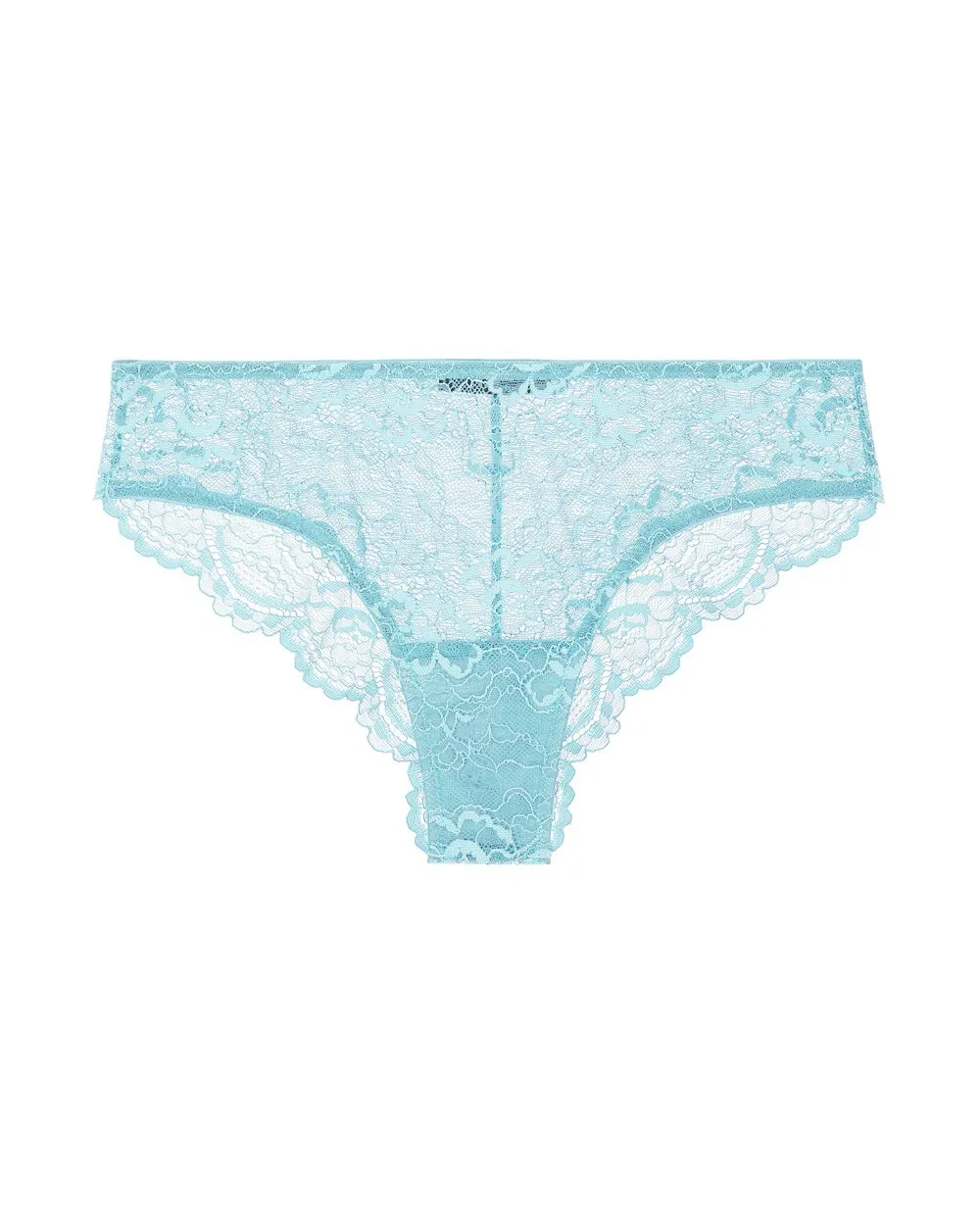 All Lace Brief