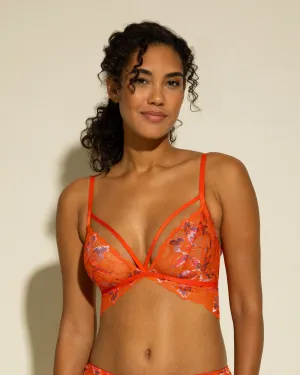 Brassire Triangle