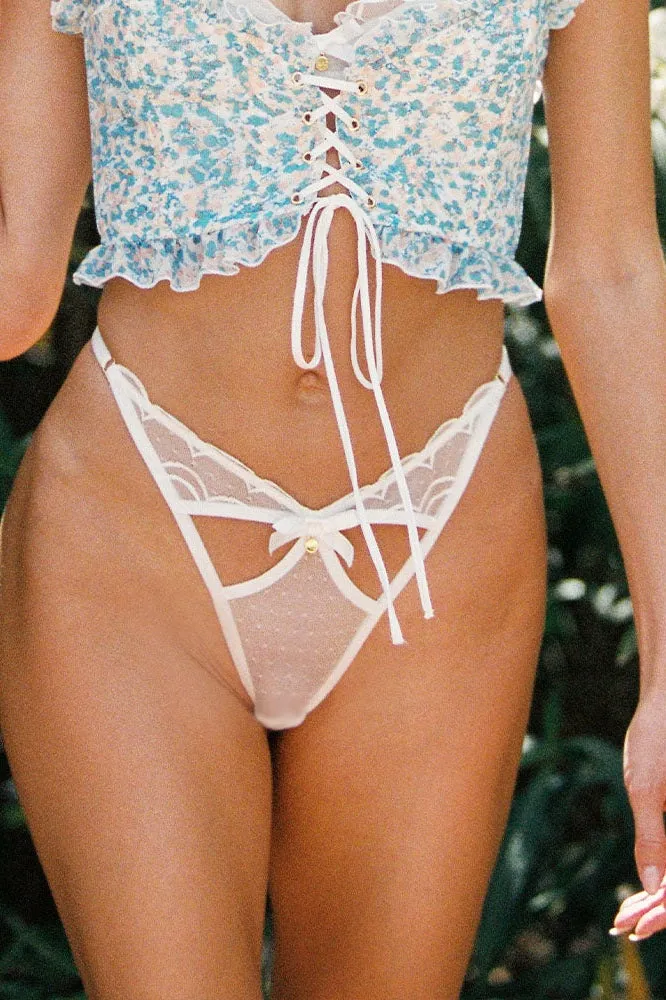 Summer Panty Large - Sample Sale